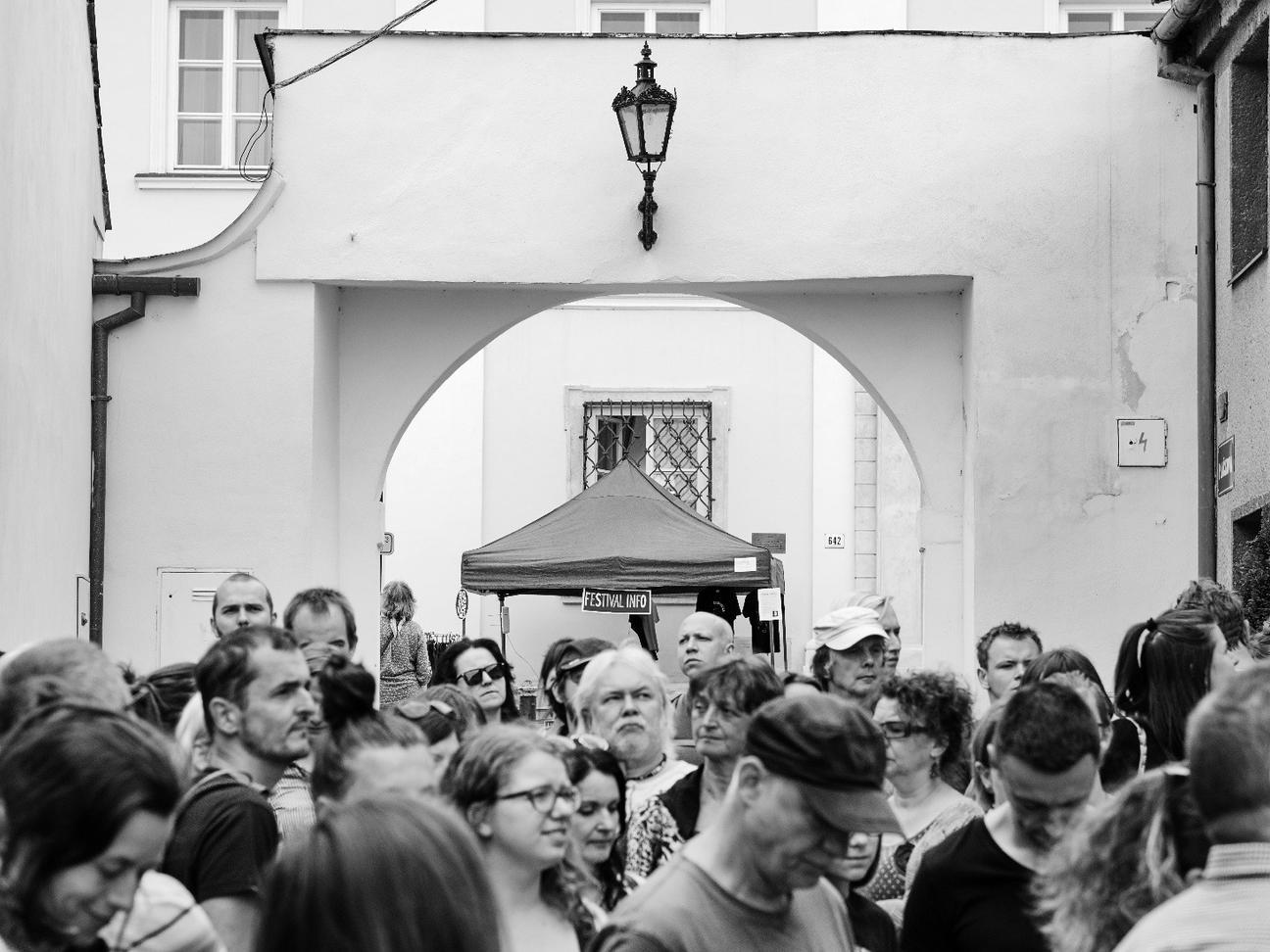 Bosko 2019 (3)