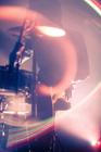Fleda_himalay_arms (6)