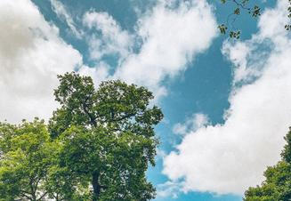 - 9170