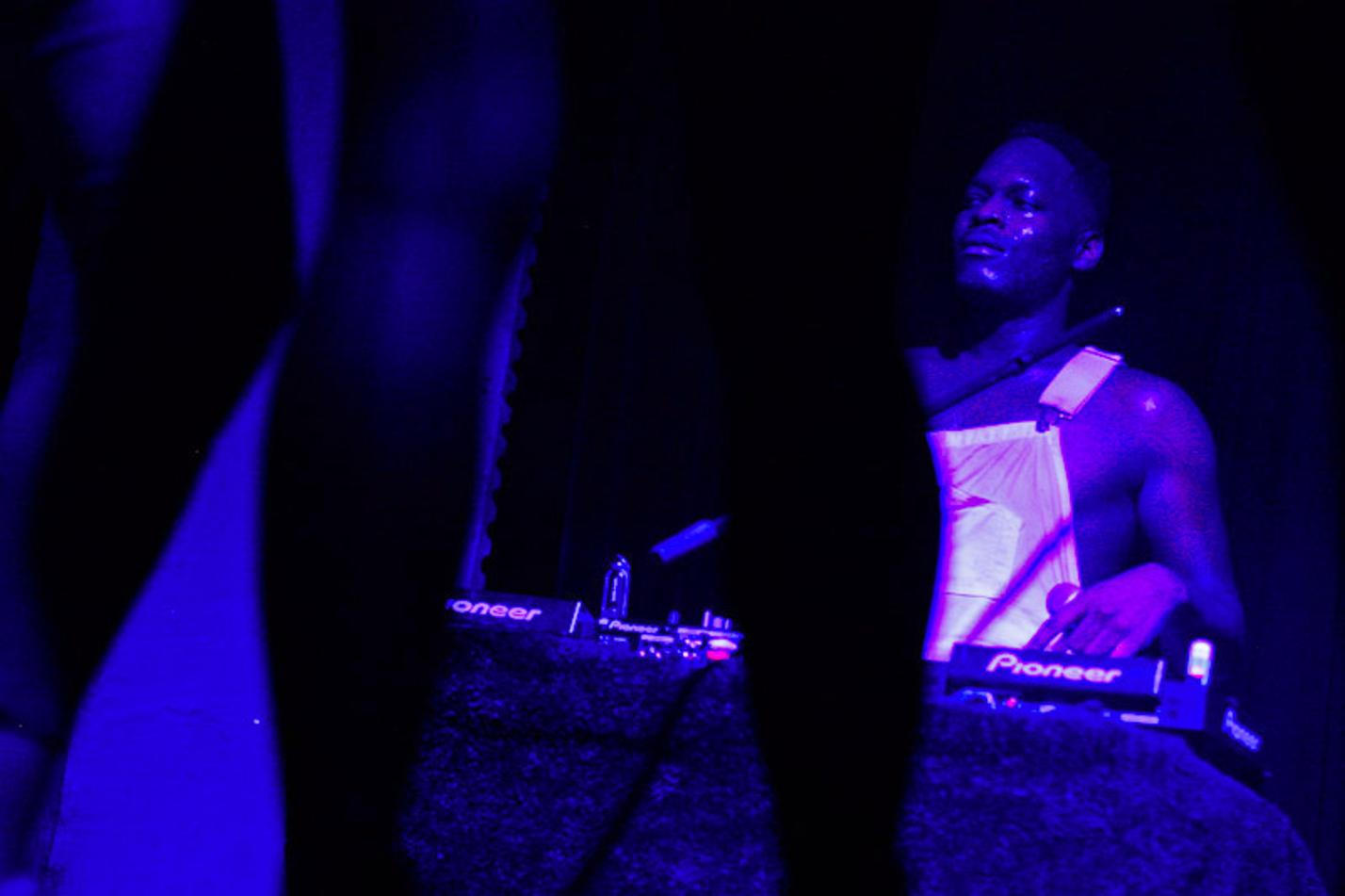 zebrakatz2-10