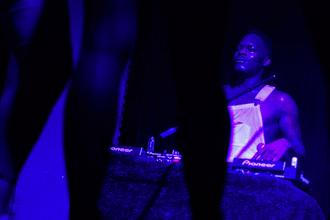 zebrakatz2-10