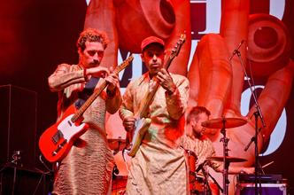 8499 WhoMadeWho