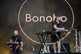 8571 Bonobo