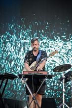 8596 Bonobo