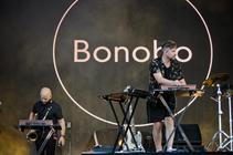 8571 Bonobo