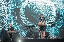 8598 Bonobo
