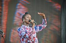 8617 Bonobo