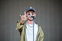 8514 Oscar and the Wolf