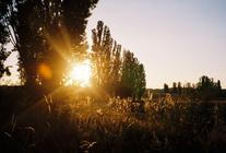 01_povalec_tyna_snovej (1)