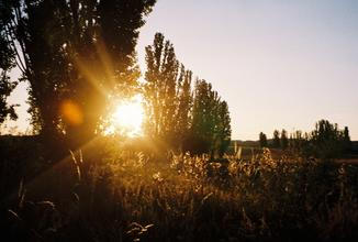01_povalec_tyna_snovej (1)