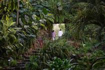 EstufaFria3