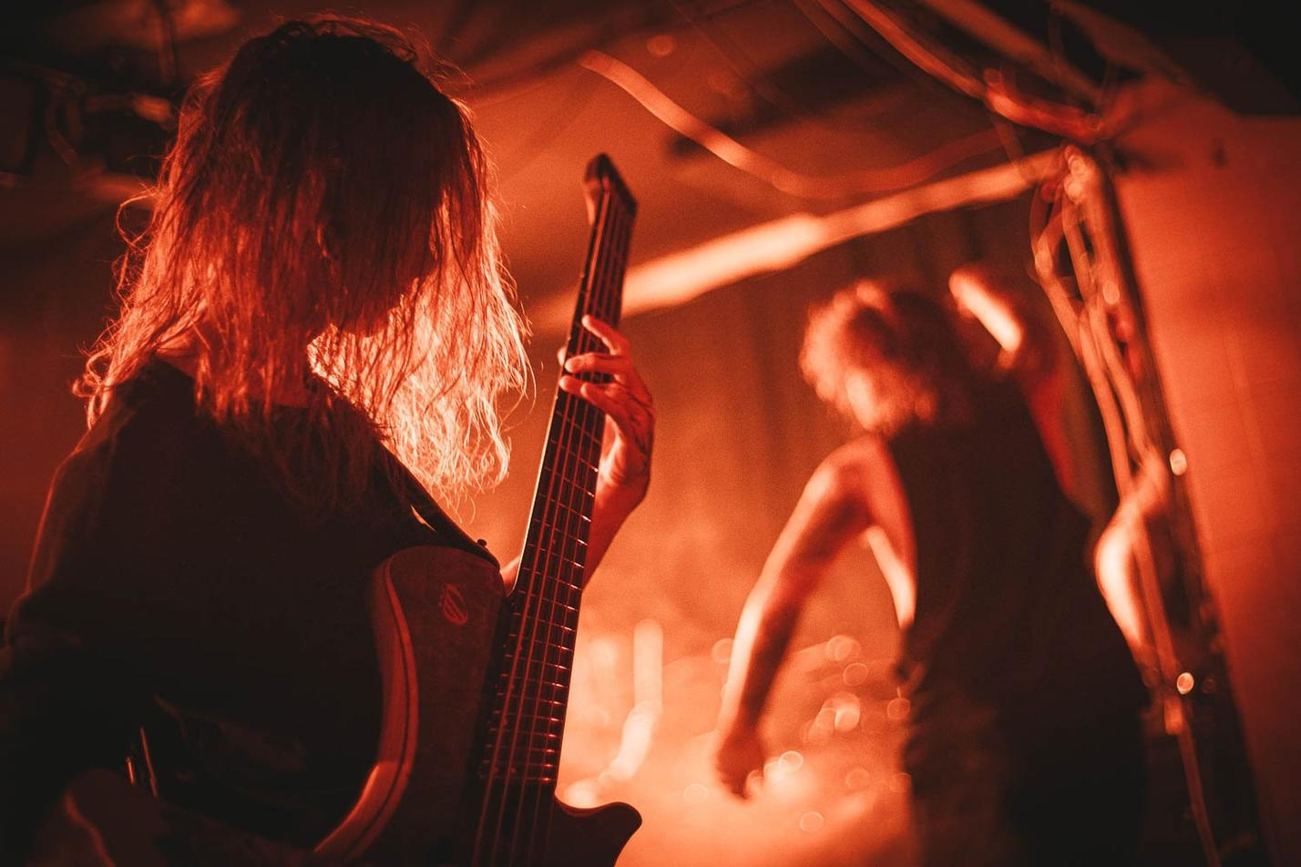 INGESTED-5