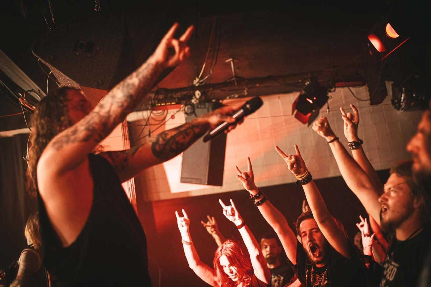 INGESTED-4