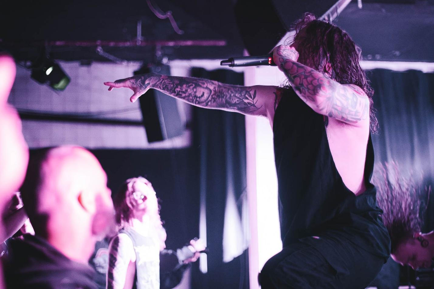 INGESTED-1