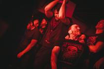 INGESTED-2