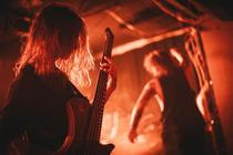 INGESTED-5
