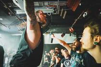 INGESTED-6