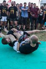 vegan_fighters