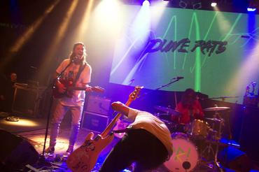 Dune rats (8)
