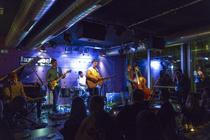 Thom Artway-13