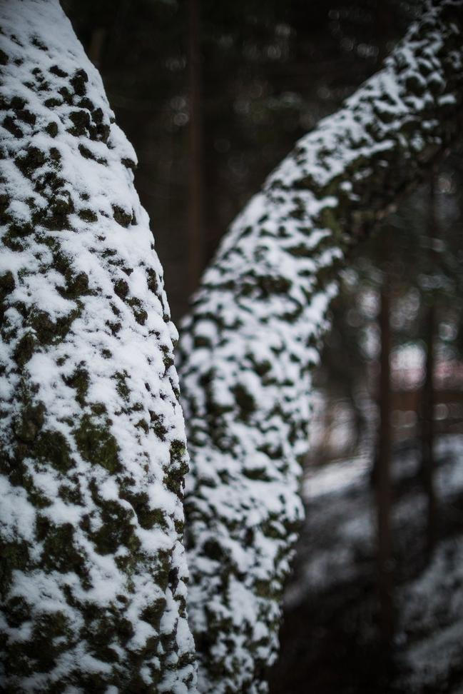 3-Fragments-of-nature