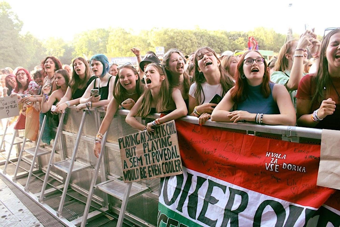 FANS_4 (1)