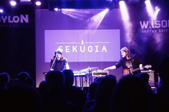 SEKUOIA