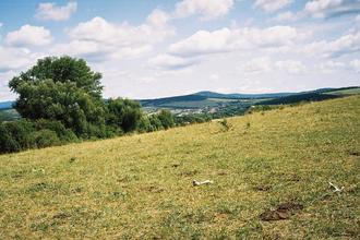 07_BESEDA