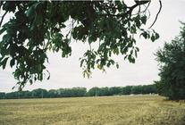 09_BESEDA