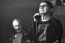 ThePrimitivesGroup-1113