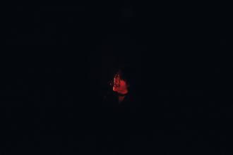 2_Shilpa Ray