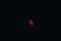2_Shilpa Ray