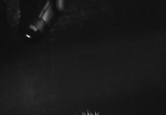 06_Tool