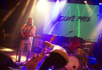 Dune rats (8)