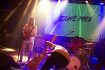Dune rats (8)