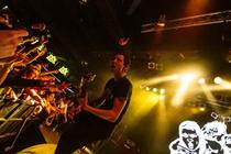 The Subways (11)