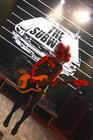 The Subways (12)