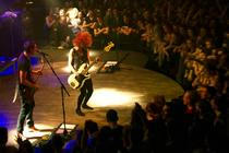 The Subways (16)