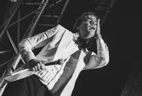 The Hives