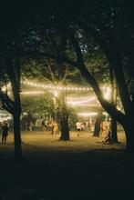 Sziget Festival