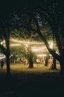 Sziget Festival