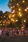 Sziget Festival
