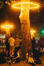 Sziget Festival