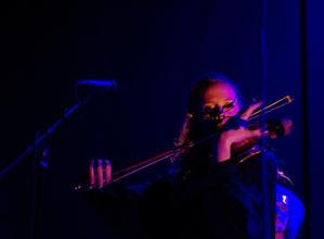Zvíře (6)