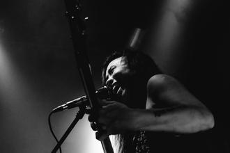 Year_of_the_Cobra