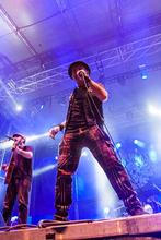 The_Rumjacks