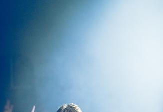 The_Hives (10)