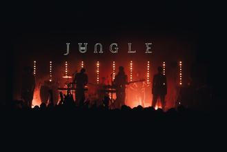 09 Jungle