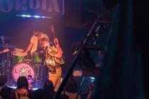 LIME_CORDIALE_3