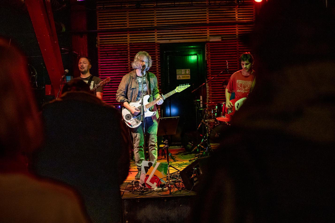 03-4Dogs
